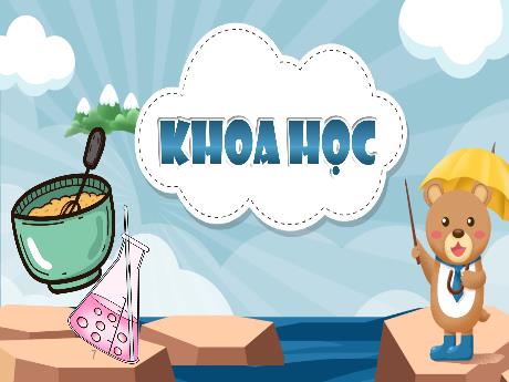 Bài giảng Khoa học Lớp 5 - Bài 3: Hỗn hợp và dung dịch (Tiết 2)