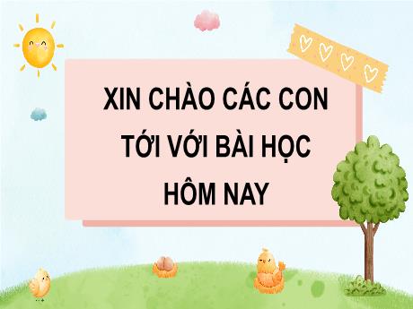 Bài giảng Tin học Lớp 5 - Bài 18: Thực hành về cấu trúc tuần tự