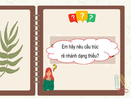 Bài giảng Tin học Lớp 5 - Bài 29: Cấu trúc rẽ nhánh dạng đủ