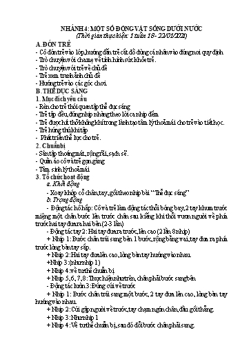 Giáo án Mầm non Lớp Chồi - Chủ đề V: Động vật. Chủ đề nhánh IV: Một số động vật sống dưới nước - Năm học 2020-2021 - Trường Mầm non Trung Hà